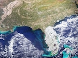 En esta imagen, capturada el 21 de octubre de 2024 por el instrumento Ocean Color Instrument del satélite PACE de la NASA, se aprecian remolinos verdes de algas microscópicas