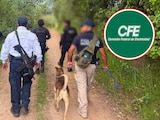 Trabajadores desaparecidos de la CFE