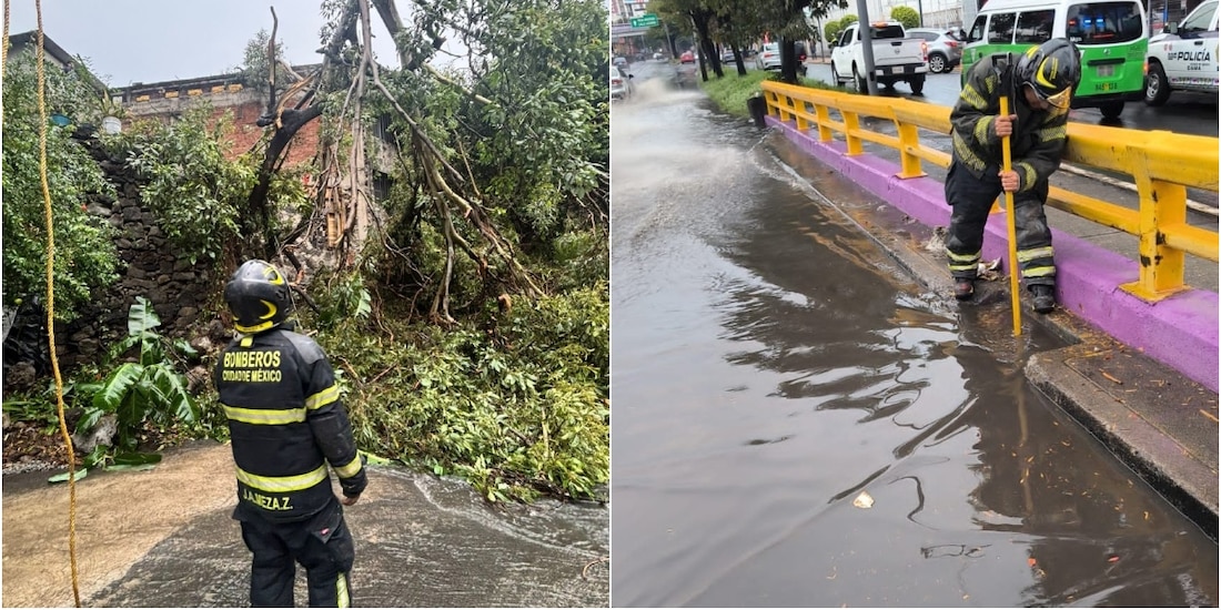 Lluvias de este 25 de mayo han provocado encharcamientos y caída de árboles en CDMX.
