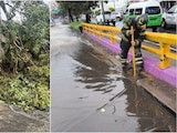 Lluvias de este 25 de mayo han provocado encharcamientos y caída de árboles en CDMX.