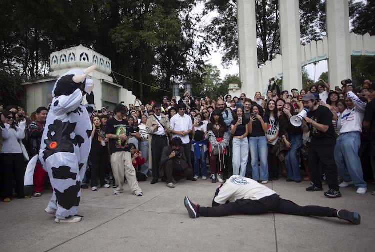 Aspecto de una "batalla de farmear aura" en el Parque Hundido, en CDMX.
