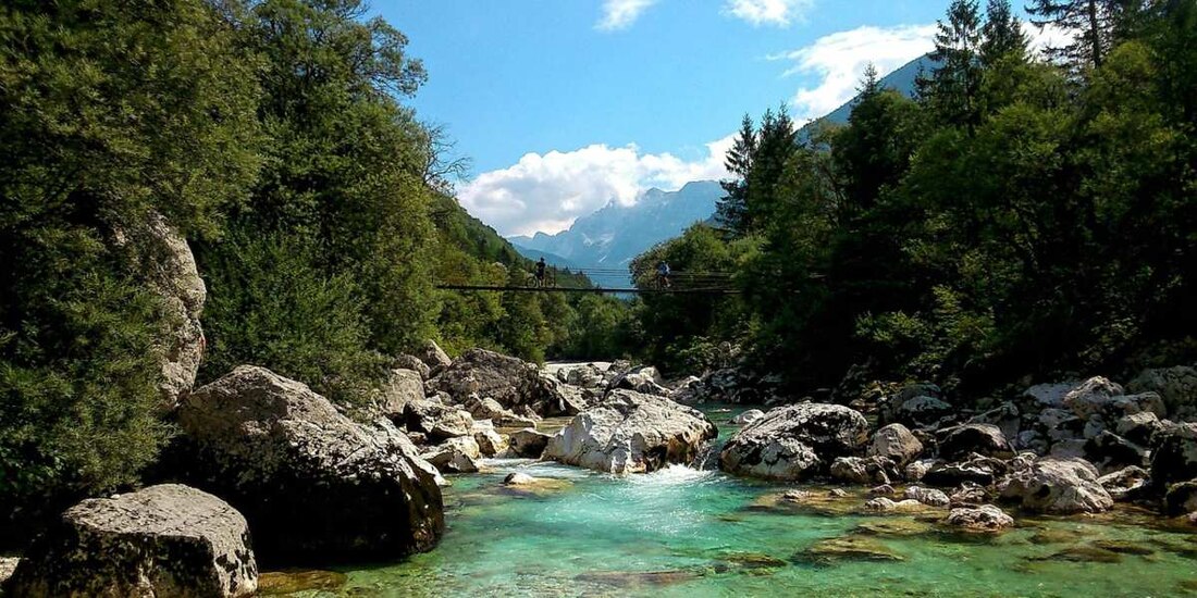 Día Mundial del Medio Ambiente.