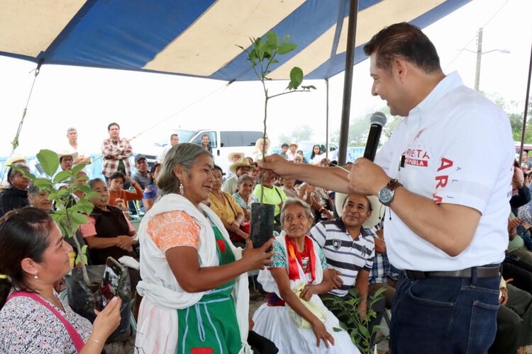Más de 500 personas se han sumado a las jornadas de reforestación encabezadas por Armenta, anuncia senador.
