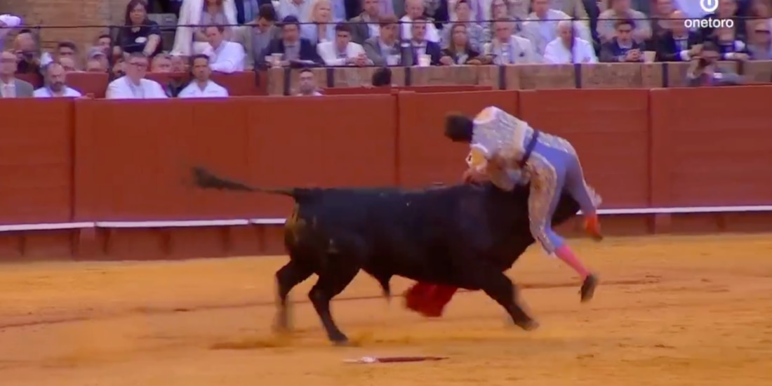 Andrés Roca recibió una fuerte corneada en la pierna derecha.