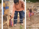 Perrito fiel recorrió todo el campo para llevarle el desayuno a su dueño y se volvió viral.