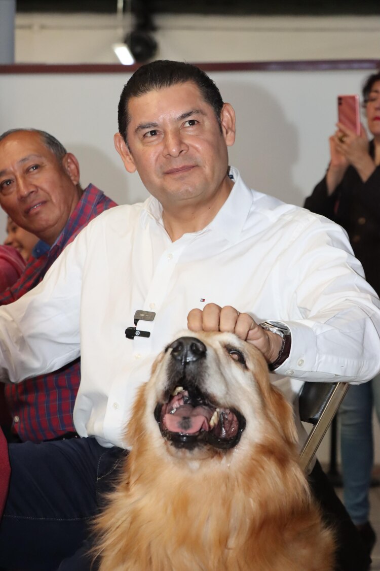 Senador Alejandro Armenta