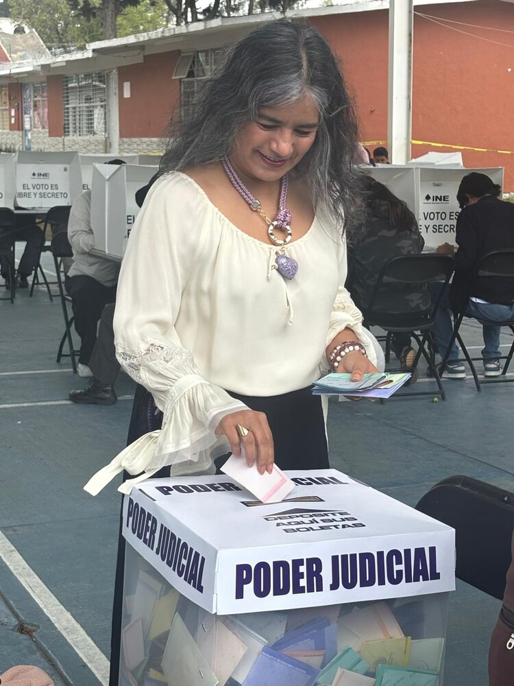 La elección judicial representa un parteaguas para la democracia mexicana, señala Luz María Zarza.