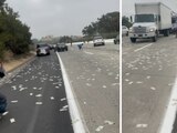 Miles de dólares quedaron tirados en una carretera en Estados Unidos