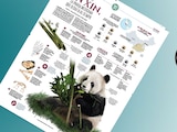 Xin Xin, la panda mexicana que desafía al tiempo