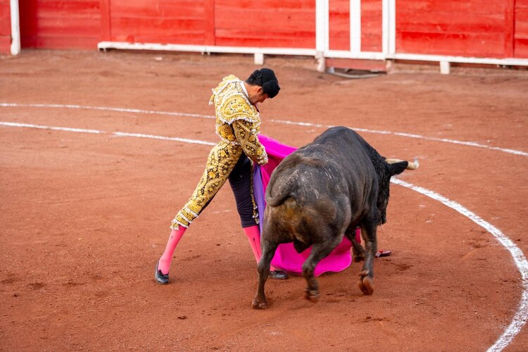 Aficionados acompañan a los seis toros bravos durante el primer Encierro Sanmarqueño, que marcó el inicio de la Feria de la Uva 2025.
