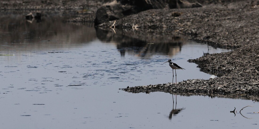 Un aspecto de la presa El Centenario ubicada en Tequisquiapan, Querétaro