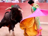 PVEM celebra prohibición de corridas de toros en Michoacán