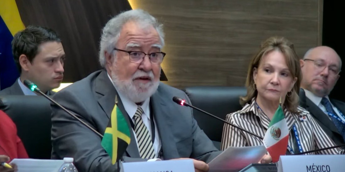 El embajador mexicano, Alejandro Encinas