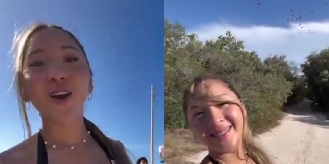 Influencer en Yucatán es señalada por afectar manglares y flamencos