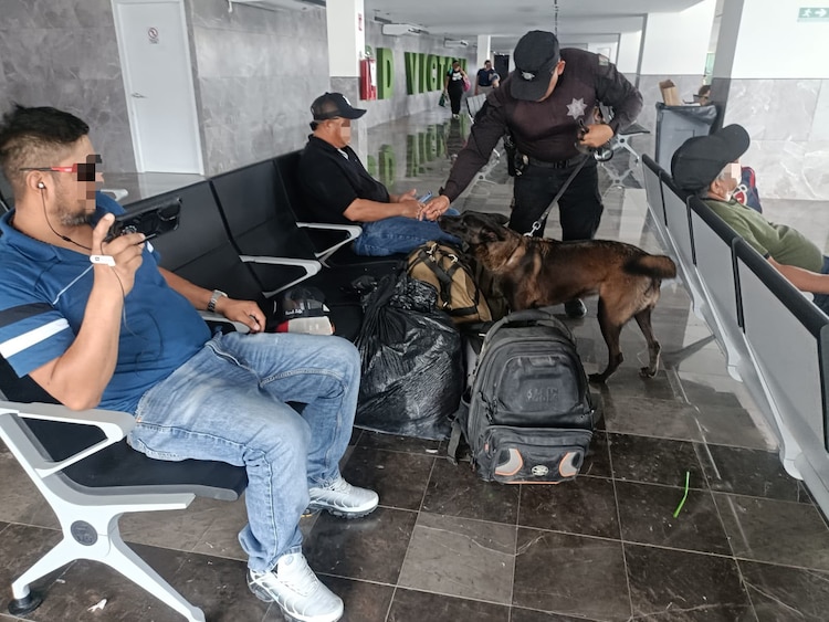 La Guardia Estatal mantiene despliegue territorial y coordinación con fuerzas federales para la prevención del delito en Tamaulipas.