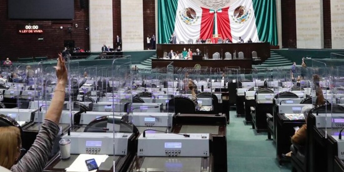 Diputados ya podrán ser elegidos desde los 18 años