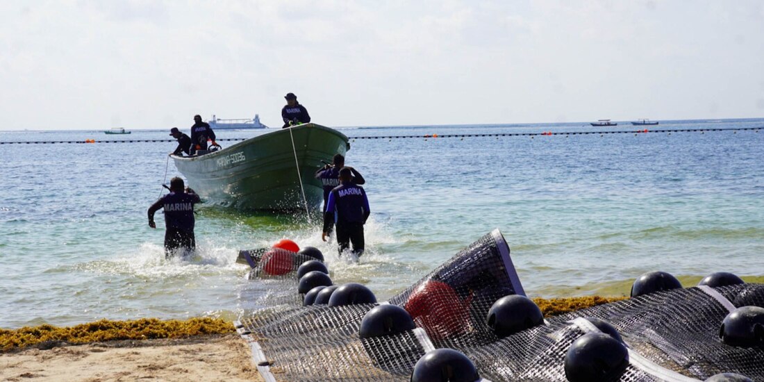 Personal de la Marina inició ayer labores para combatir el sargazo en Puerto Morelos, Quintana Roo.