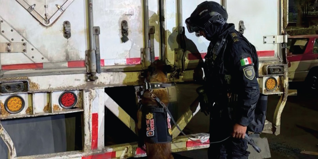 Un agente y su binomio canino inspeccionan la caja del tractocamión, ayer.