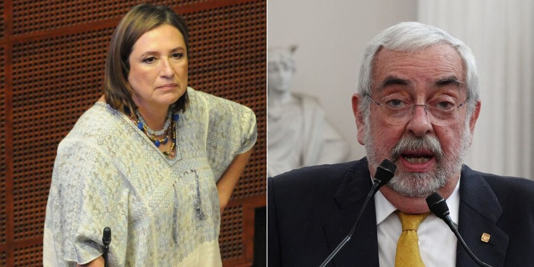 Enrique Graue pide que se investigue presunto plagio de Xóchitl Gálvez.