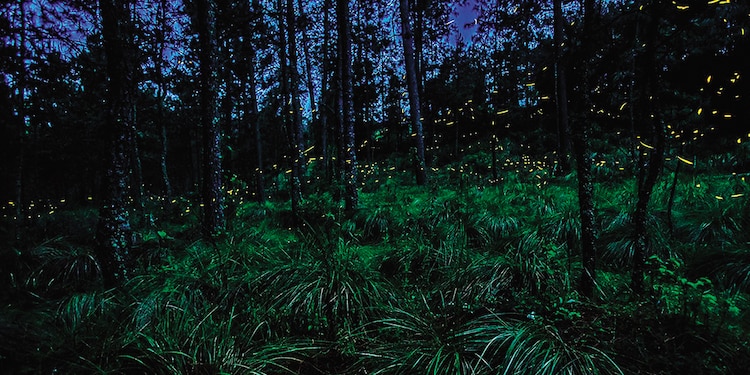 Nanacamilpa, Tlaxcala