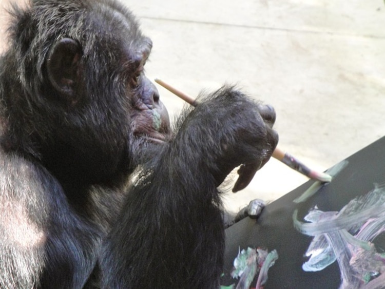 Bubbles, el chimpancé de Michael Jackson