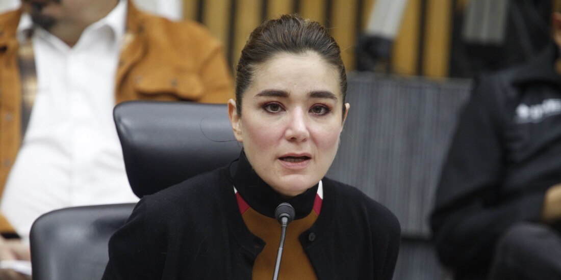 La consejera Dania Ravel, en imagen de archivo.