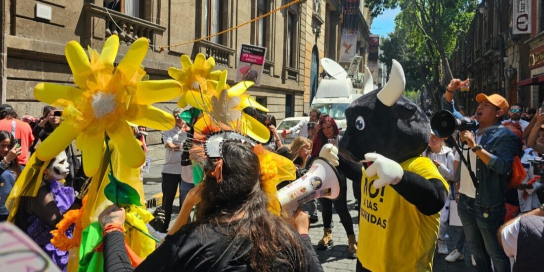 Activistas celebran la regulación de la tauromaquia, el pasado 18 de marzo.