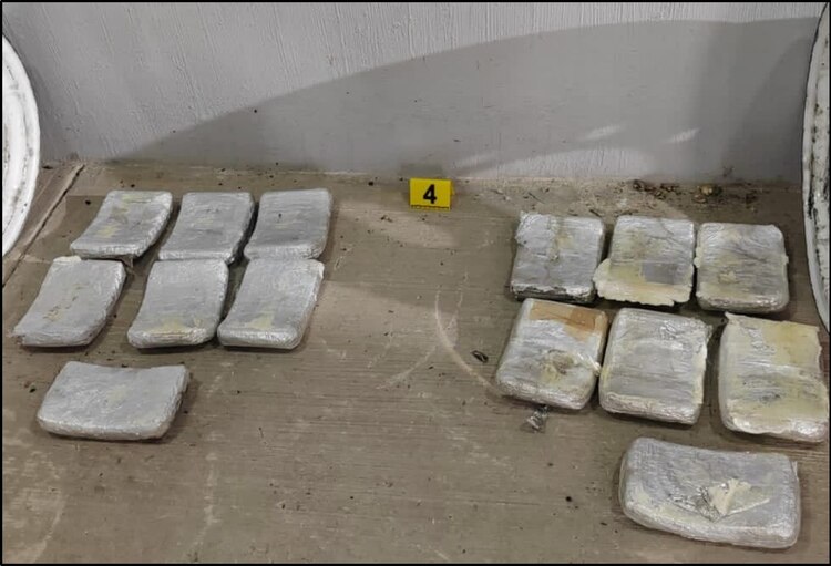 Droga decomisada en Jalisco