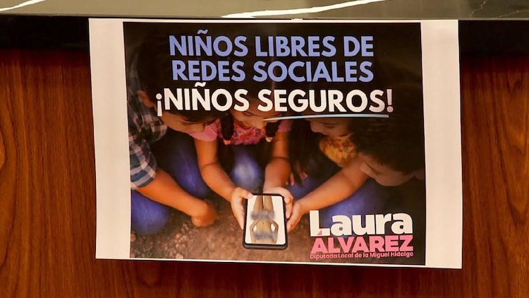 La diputada pidió que esta restricción se considere también a nivel nacional