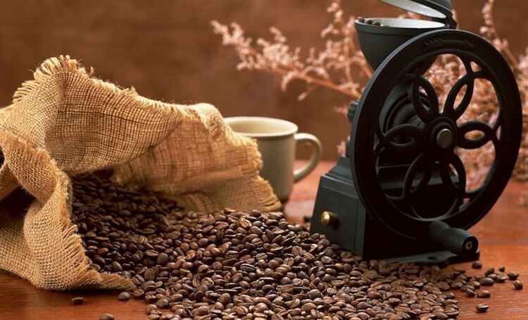 En el festival, los productores ofrecerán tanto café como cacao en semilla.