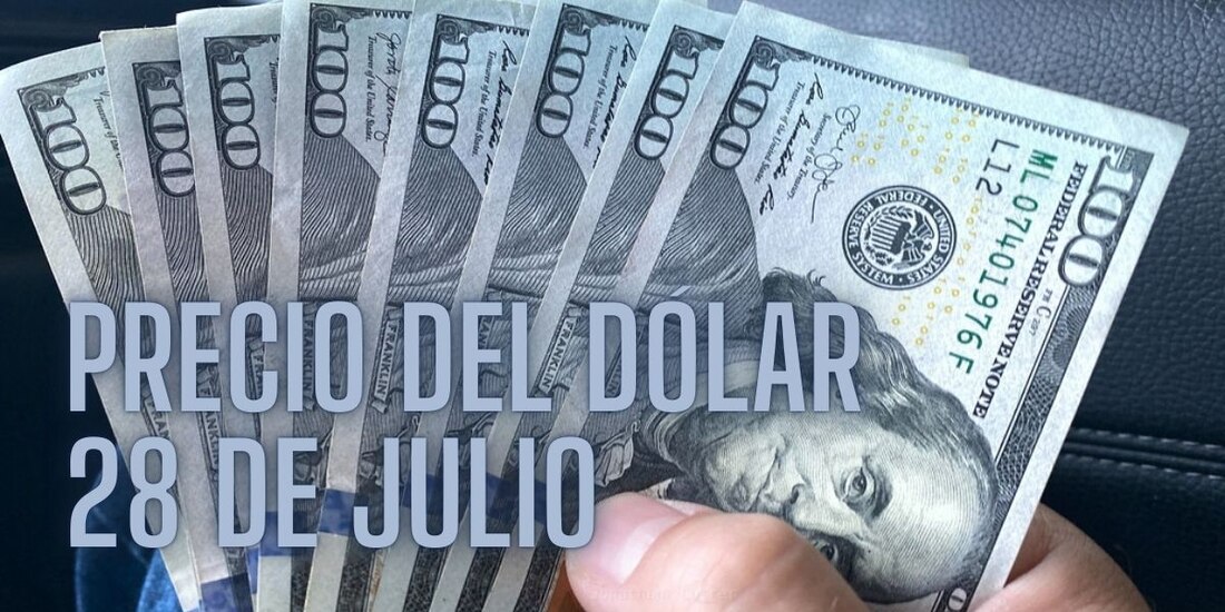 Este es el precio del dólar hoy domingo 28 de julio de 2024.