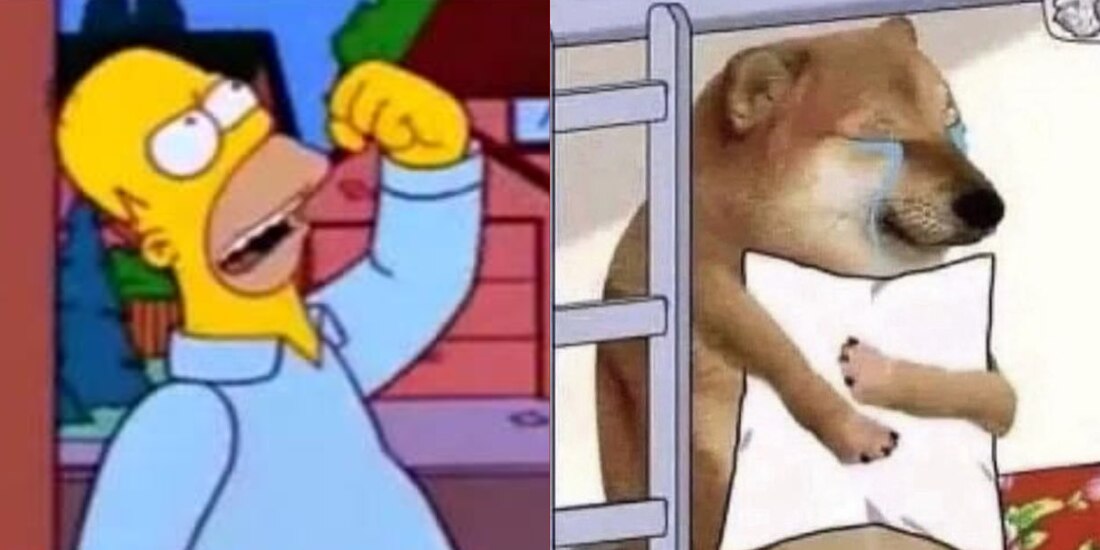 Los mejores memes del microsismo