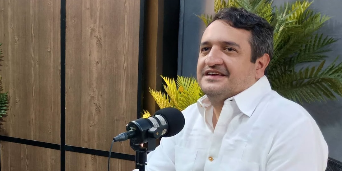 Andrés Manuel López Beltrán, exsecretario de Organización de Morena.