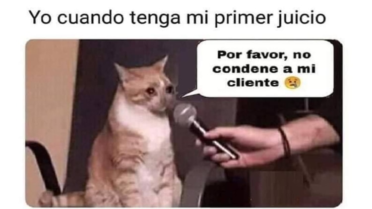 Los mejores memes por el Día del Abogado en La Razón.