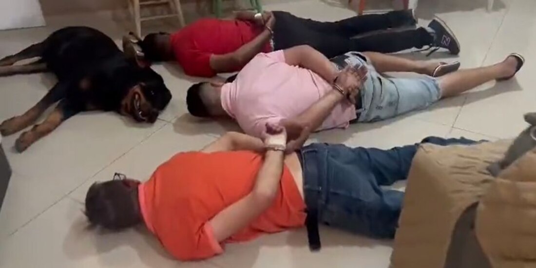 Perro guardián "se rindió" tras detención de sus dueños en Brasil.