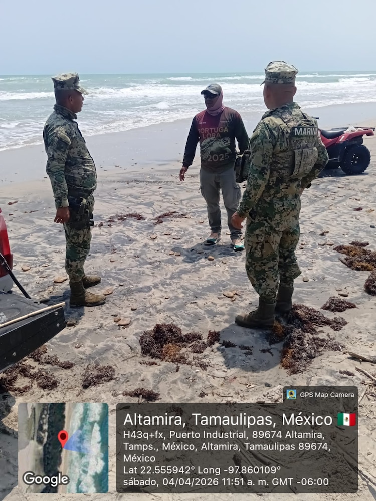 Elementos de la Marina durante acciones del Grupo Interinstitucional en el litoral del Golfo de México.