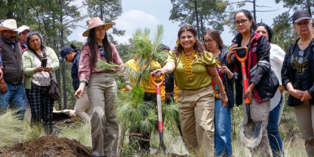 Clara Brugada, Gabriela Osorio e integrantes de su gabinete plantan un árbol en la alcaldía Tlalpan, ayer.