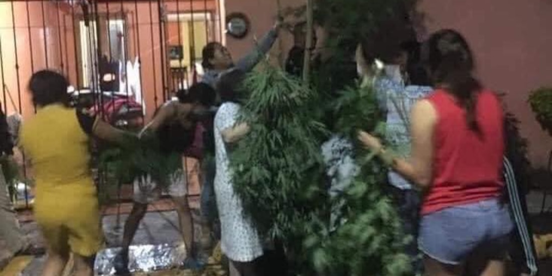 Vecinos trataron de evitar que la policía se llevara la planta