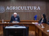 El secretario de Agricultura y Desarrollo Rural, Víctor Villalobos Arámbula.
