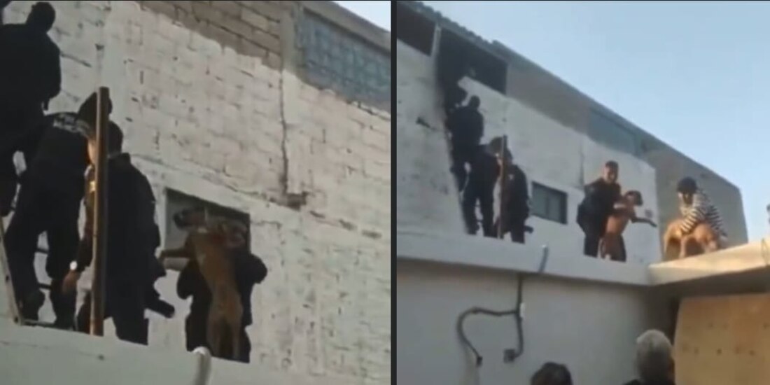 Después del incidente, se informó por parte de las autoridades que no hubo muertos ni heridos.