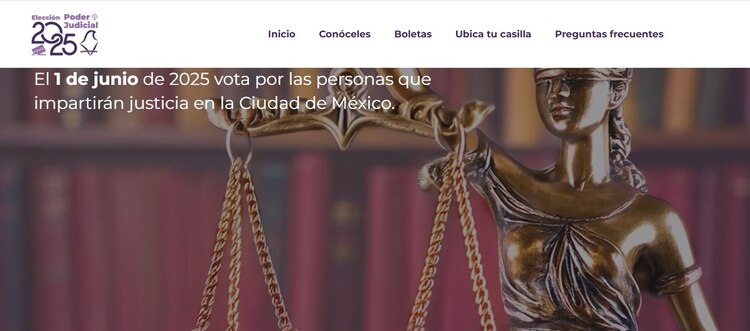 Así luce el micrositio del IECM.