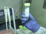 Vacuna contra el virus SARS-CoV-2 desarrollada por el IMSS