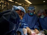 La prueba del trasplante de riñón fue un éxito