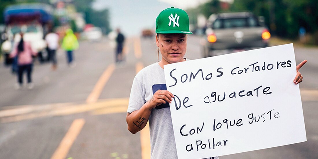 Cortadores de aguacate pidieron ayuda económica ayer.