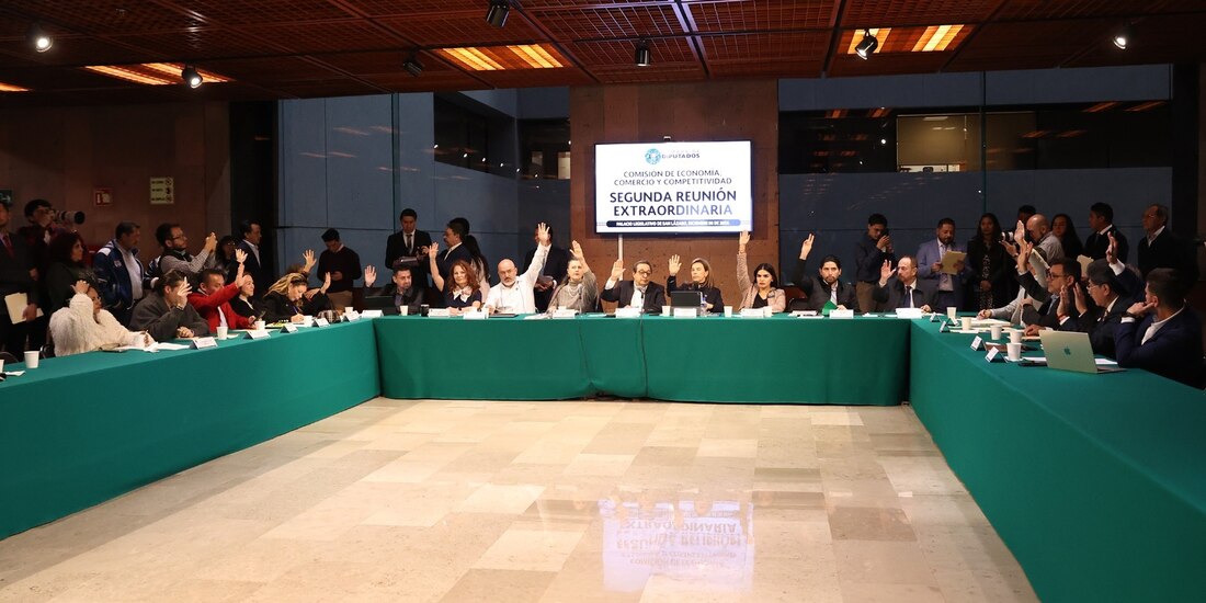 Sesión de la Comisión de Economía, Comercio y Competitividad de la Cámara de Diputados, este 8 de diciembre.
