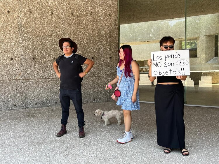 Manifestantes afuera del Museo Tamayo