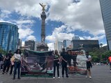 Colectivos animalistas partieron desde el Ángel de la Independencia.