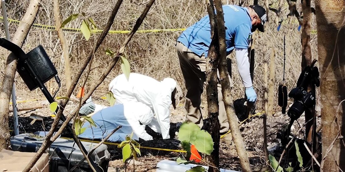 El operativo se realizó en coordinación con elementos de la Secretaría de Marina, de la Policía Estatal Preventiva, de la Comisión Estatal de Búsqueda de Personas en el Estado de Colima y de Colectivos de la Entidad.