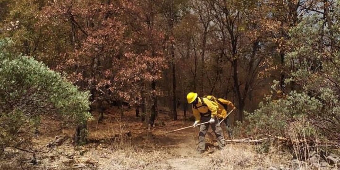 Un brigadista realiza labores en el Parque Tutuaca, en Sonora, donde el incendio forestal ha sido controlado al 100 por ciento.