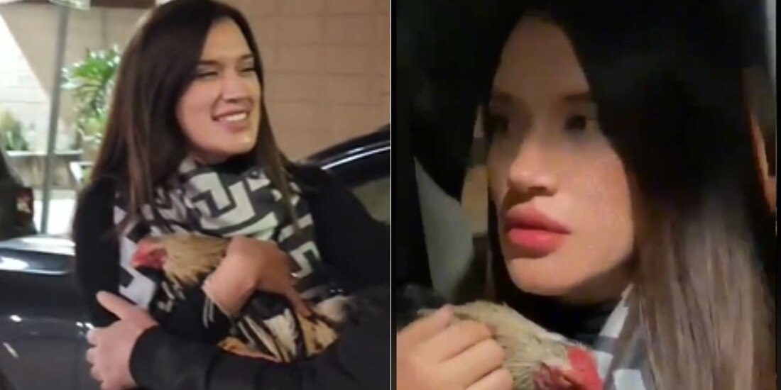 Una mujer pidió de broma que le regalaran un gallo y se le hizo realidad.